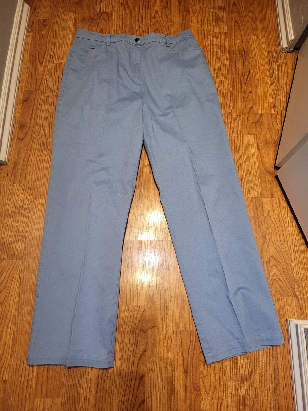 Classic Womens Light Blue Pants